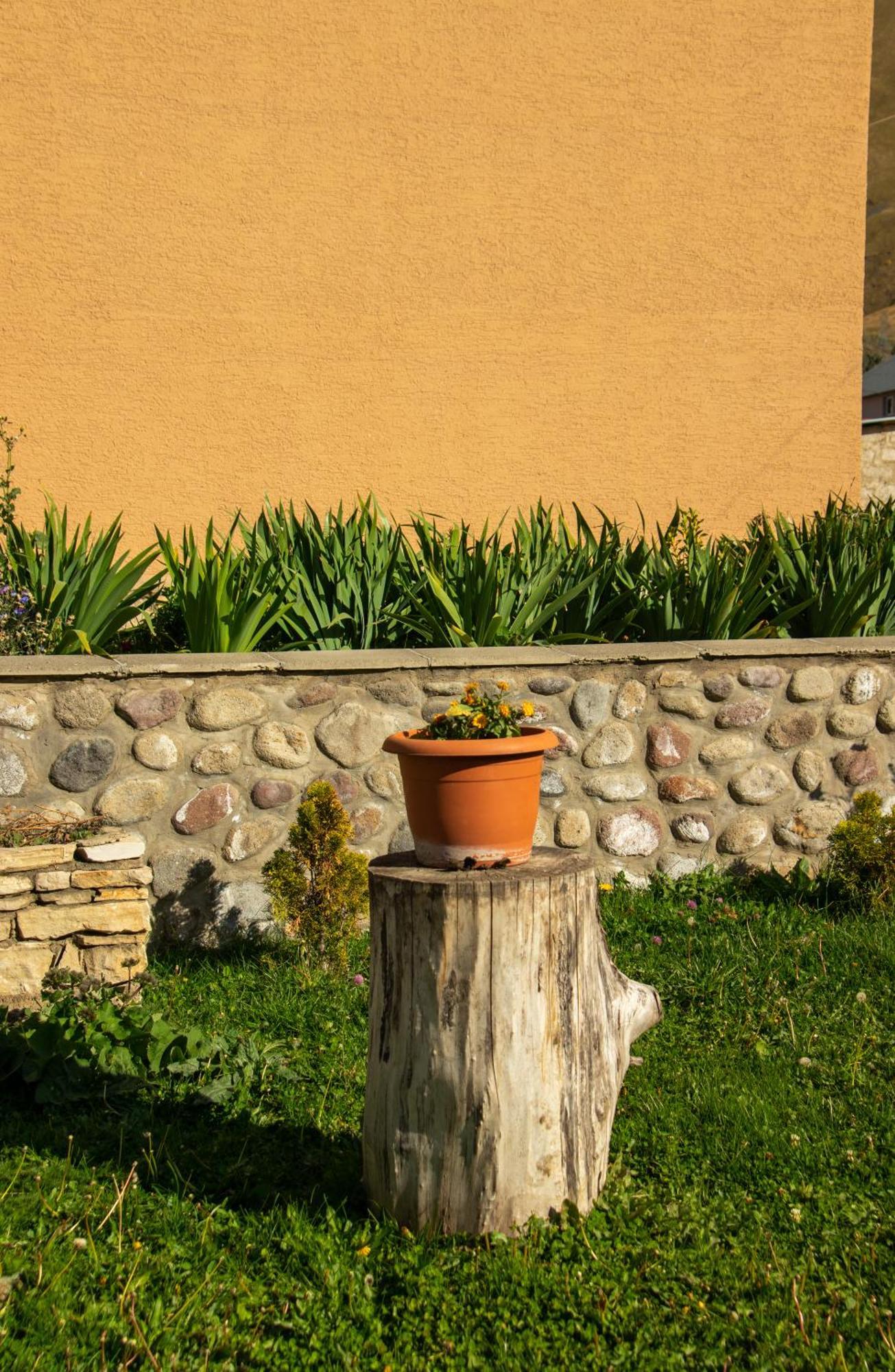 Guest House Oxygen Stepantsminda Exterior foto